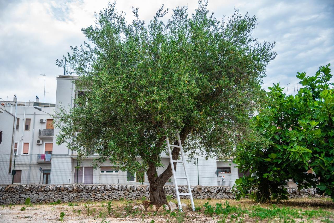 Apartmán Trulli Dimora Palmisano Locorotondo Exteriér fotografie