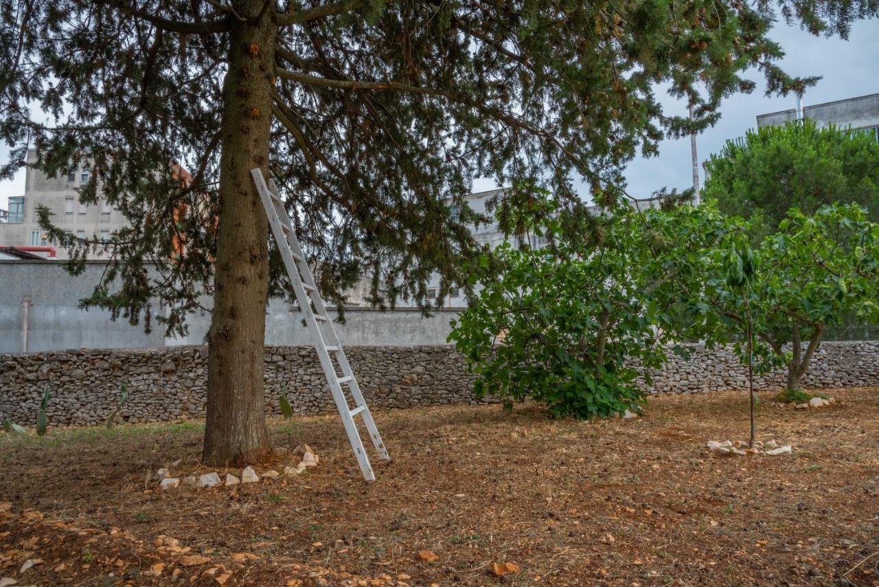 Apartmán Trulli Dimora Palmisano Locorotondo Exteriér fotografie